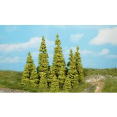 2145 10 Lärchen aus dem Heki Meisterprogramm - Heki H0