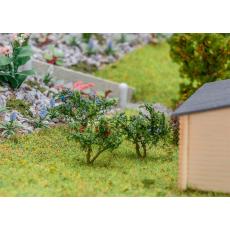 181285 - 12 Heidelbeer- und Johannisbeersträucher - Faller