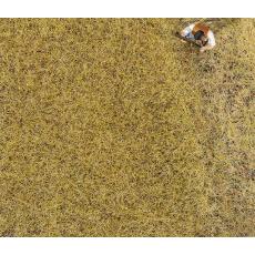 170775 PREMIUM scattered hay fibers 6mm 30g - Faller