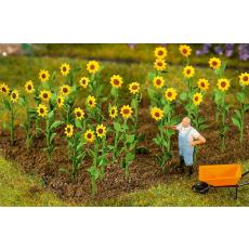 Faller 181256 H0 Sonnenblumen