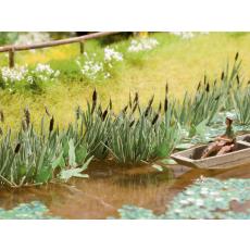 Noch H0 14102 - Realistisches und mehrfarbiges Schilf 16 Pflanzen