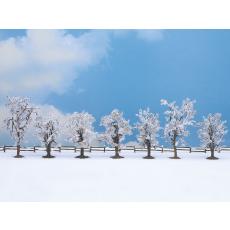 Winterbäume Noch H0 25075