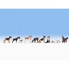 Noch 36717 N Hunde 9 Stück