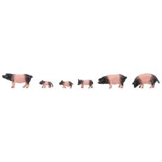 Faller 151916 H0 6 Schwäbisch-Hällische Landschweine