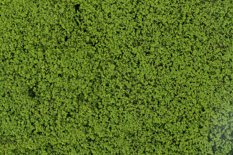 Faller 181625 H0 Blätterfoliage maigrün NEU