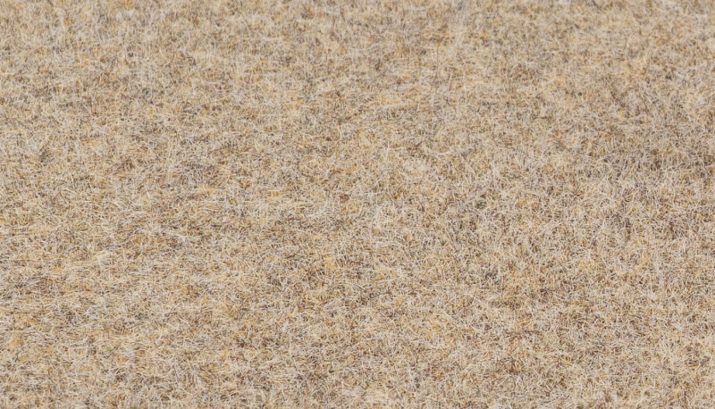 Faller 170200 H0 Streufasern Wintergras 2-3mm 35 g