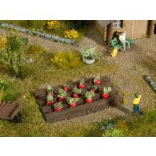 Noch H0 13221 - 12 Pflanzen Rote Beete für Ihr Gemüsebeet