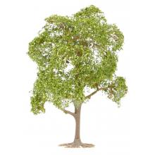 Faller 181801 H0 Linde und Elsbeere 130mm / 95mm