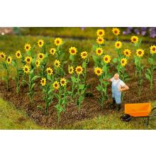 Faller 181256 H0 Sonnenblumen