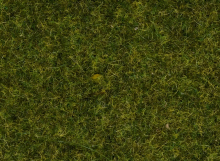 Noch 50220 Streugras Wiese 2,5mm 100g