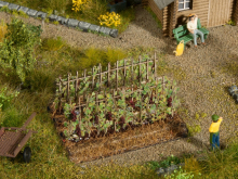 Noch 13224 H0 Weinreben mit blauen Trauben