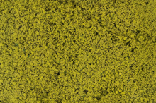 Faller 181621 H0 Blätterfoliage hellgrün NEU